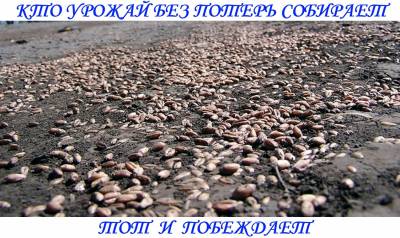 Потери при уборке зерновых Потери при уборке зерновых